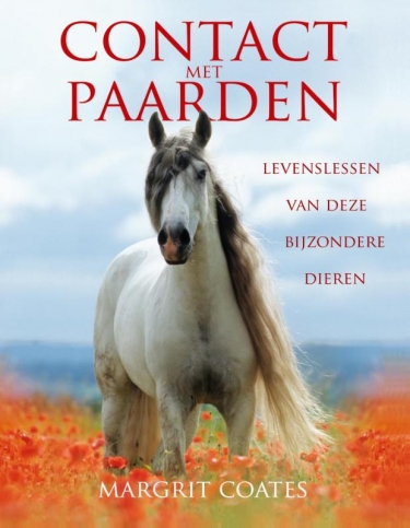 E-book: Contact met paarden