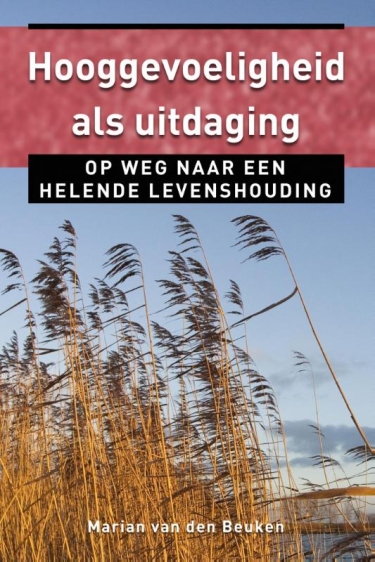 E-book: Hooggevoeligheid als uitdaging