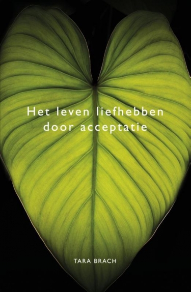 E-book: Het leven liefhebben door acceptatie