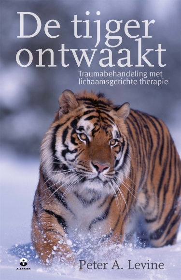E-book: De tijger ontwaakt