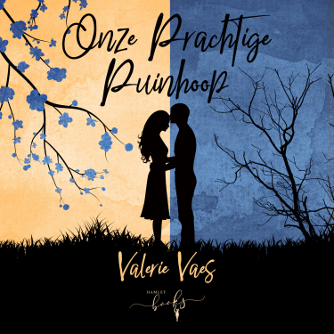 Luisterboek: Onze prachtige puinhoop